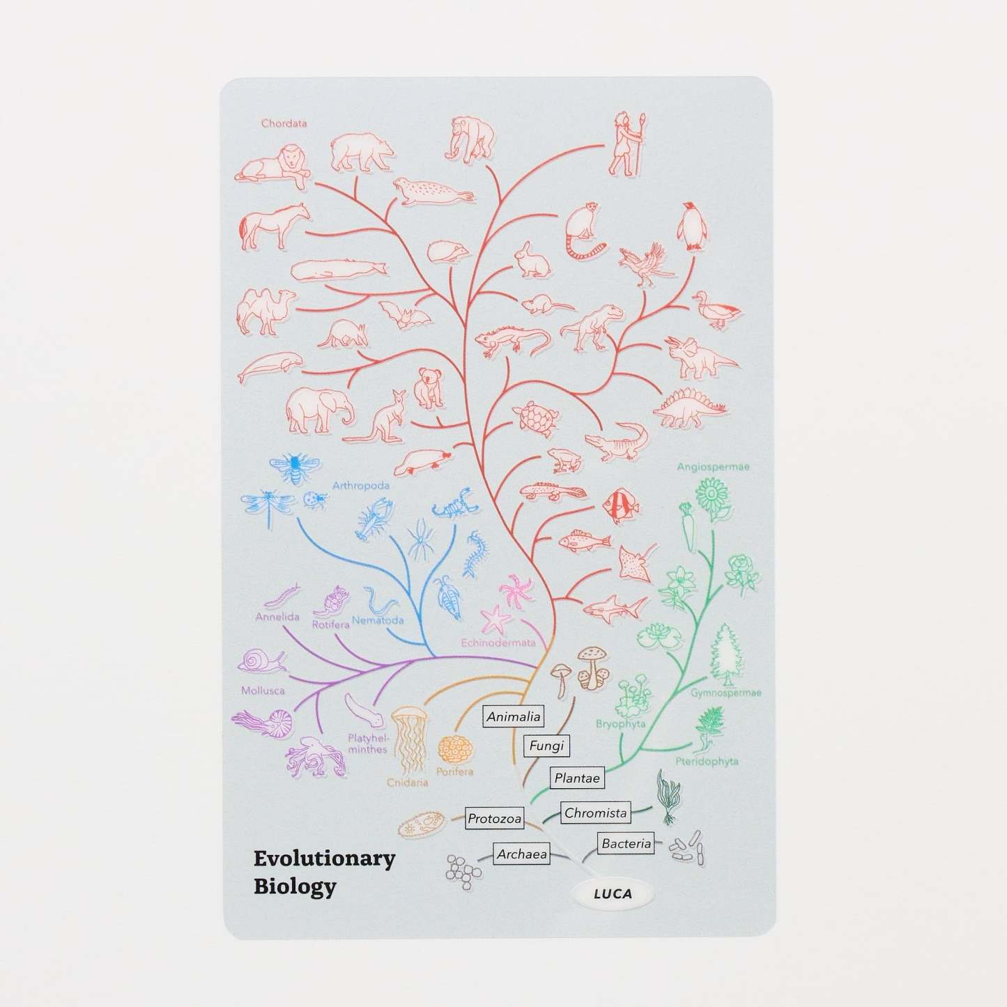 STUDY HOLIC Clear Bookmark / GreenFlash - bungu