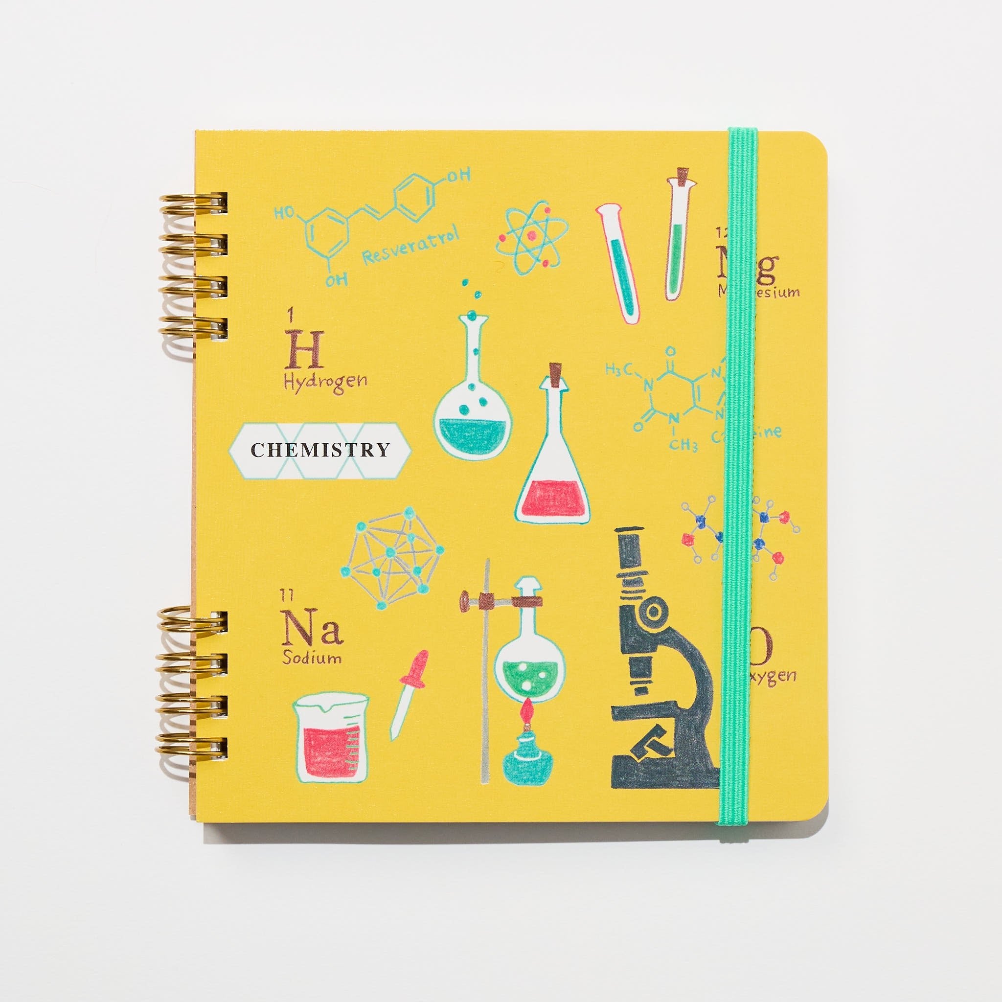 STUDY HOLIC Ring Notebook Square / GreenFlash - bungu