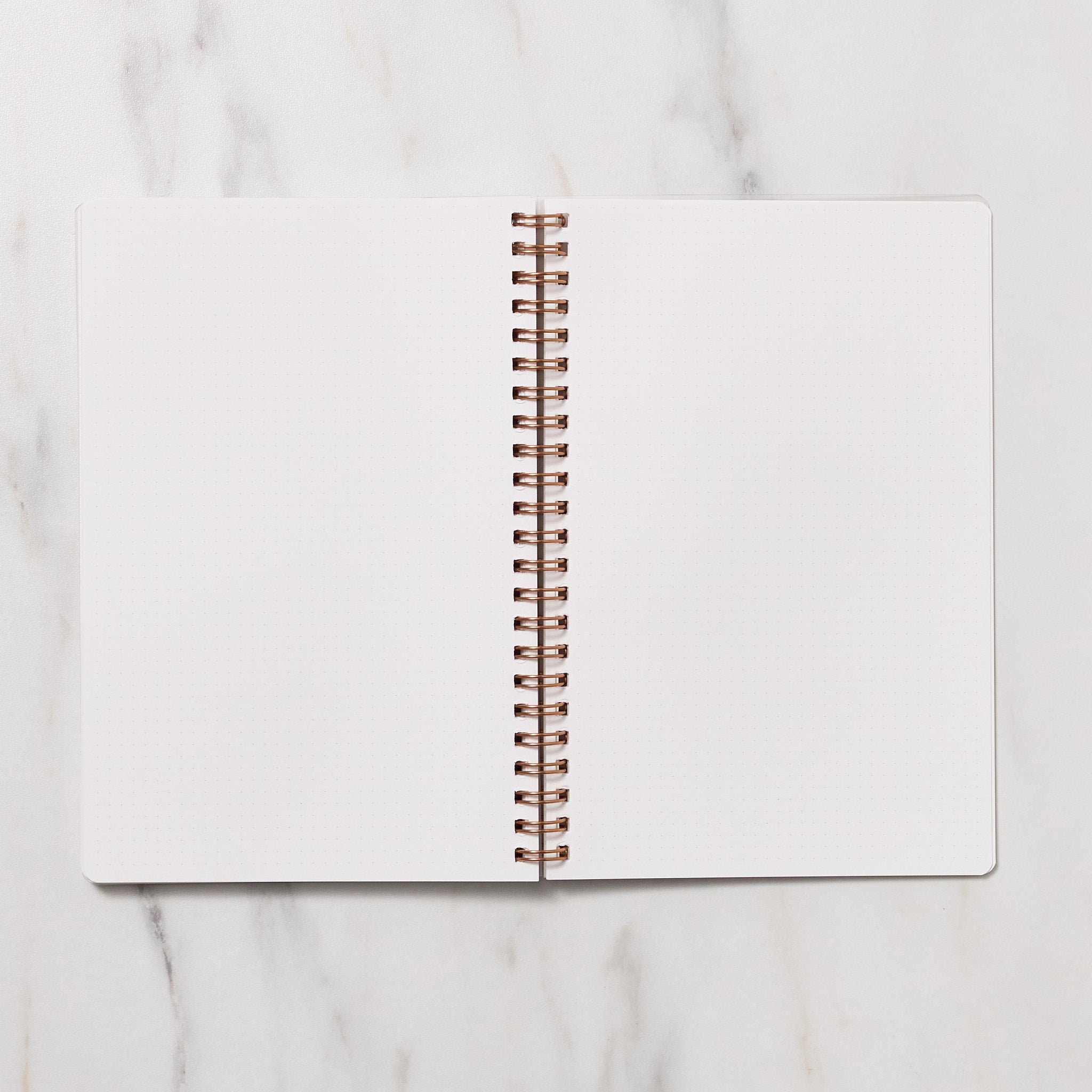 STUDY PLANNER DIARY A5 Ring Type Notebook / Iroha - bungu