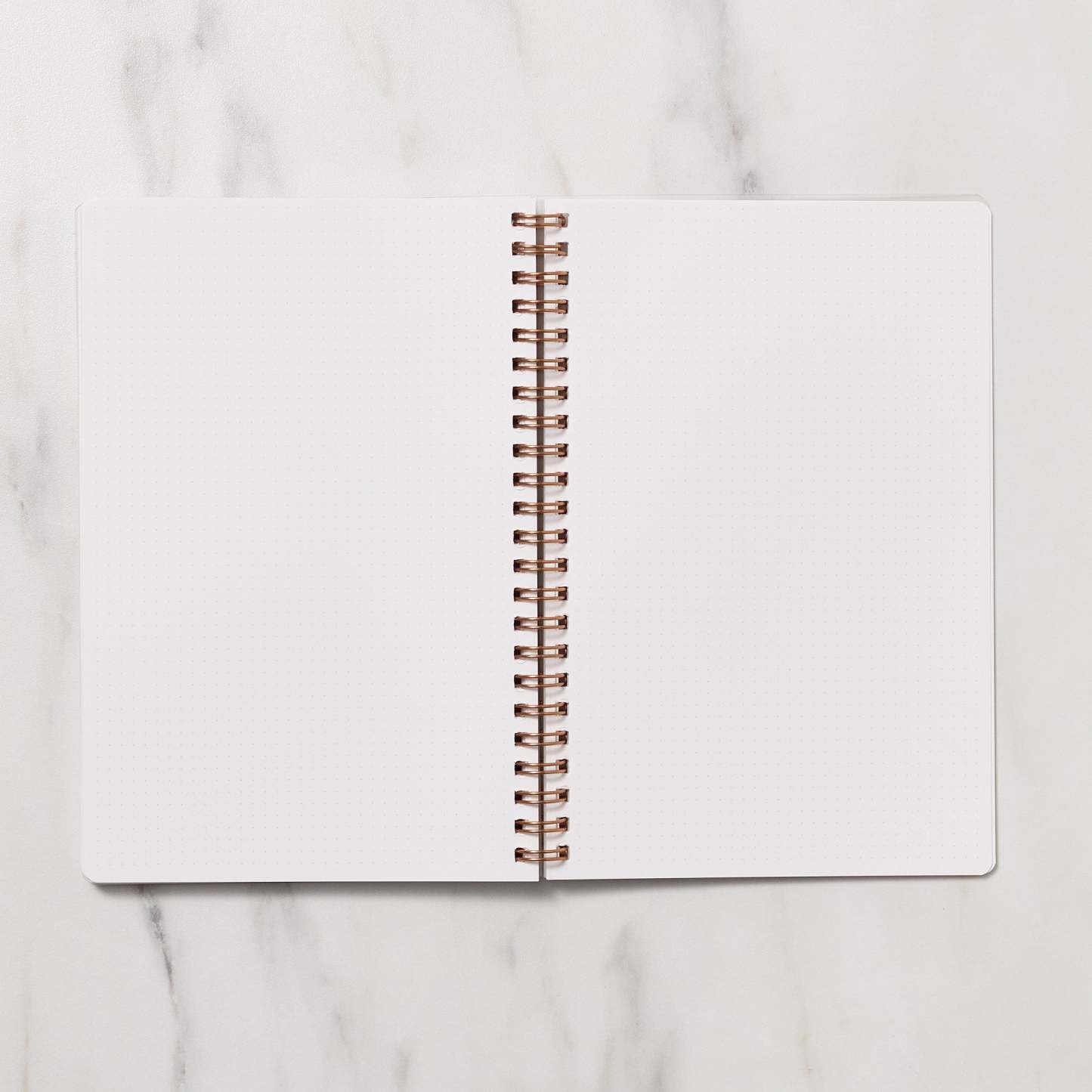 STUDY PLANNER DIARY A5 Ring Type Notebook / Iroha - bungu