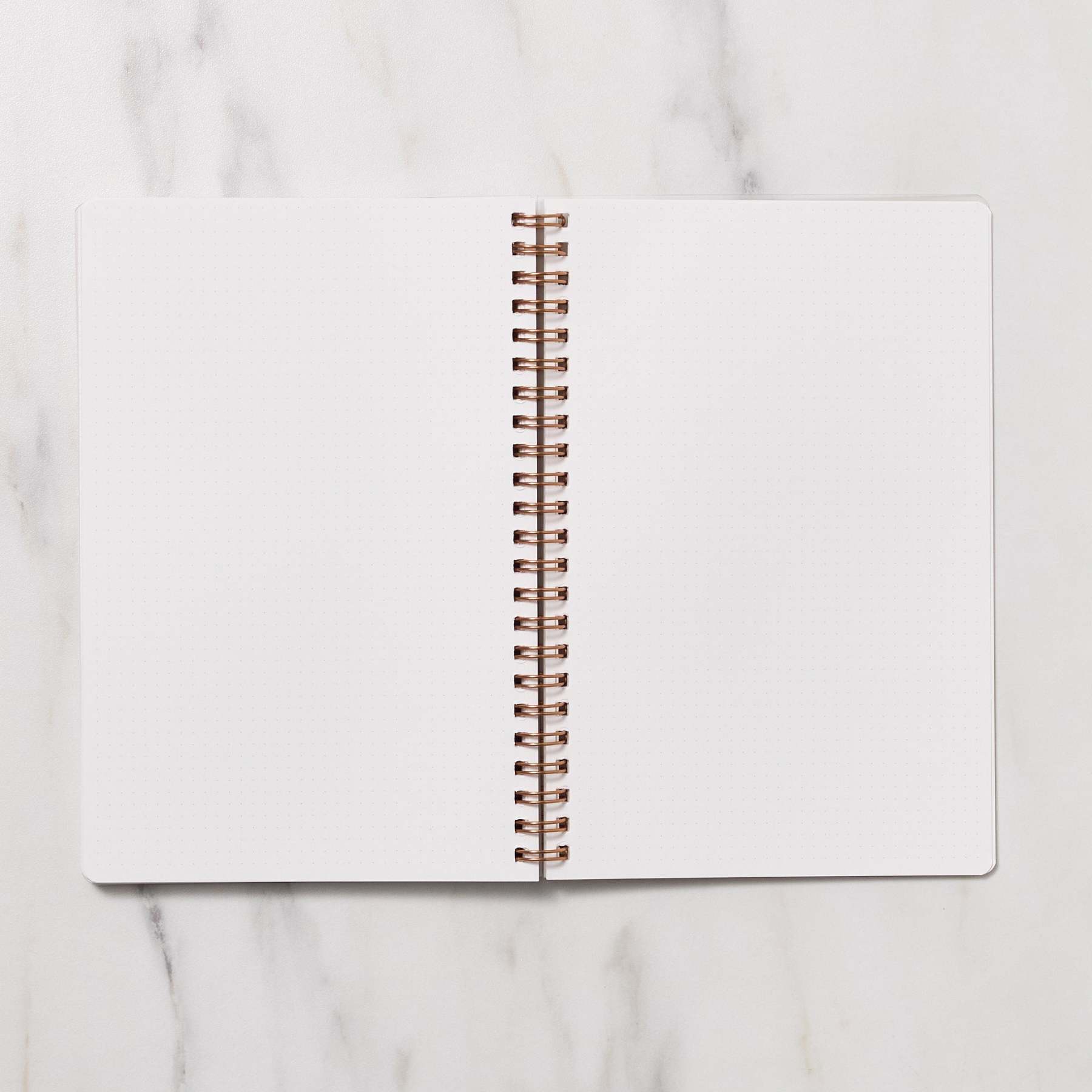 STUDY PLANNER DIARY A5 Ring Type Notebook / Iroha - bungu