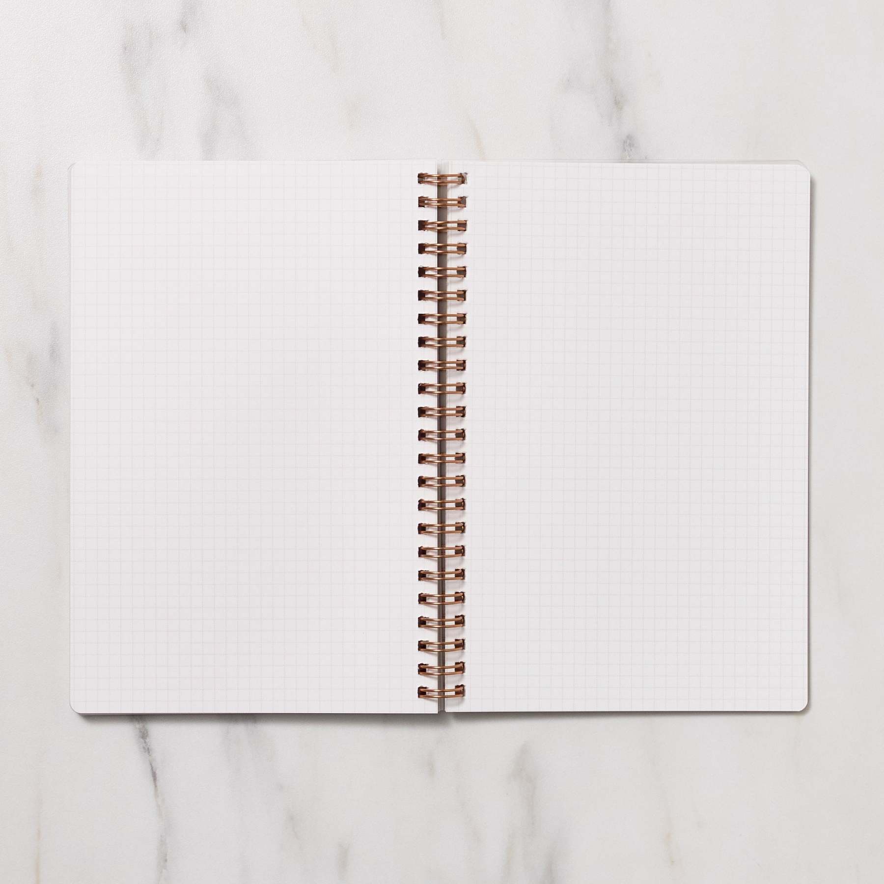 STUDY PLANNER DIARY A5 Ring Type Notebook / Iroha - bungu
