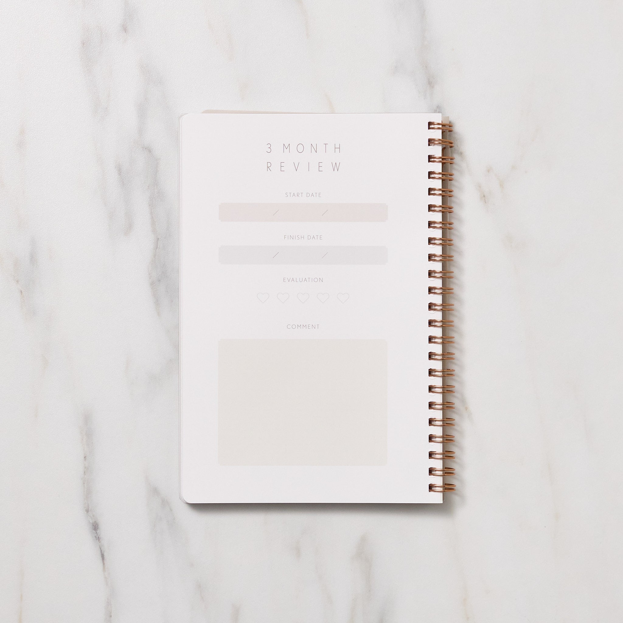 STUDY PLANNER DIARY A5 Ring Type Notebook / Iroha - bungu