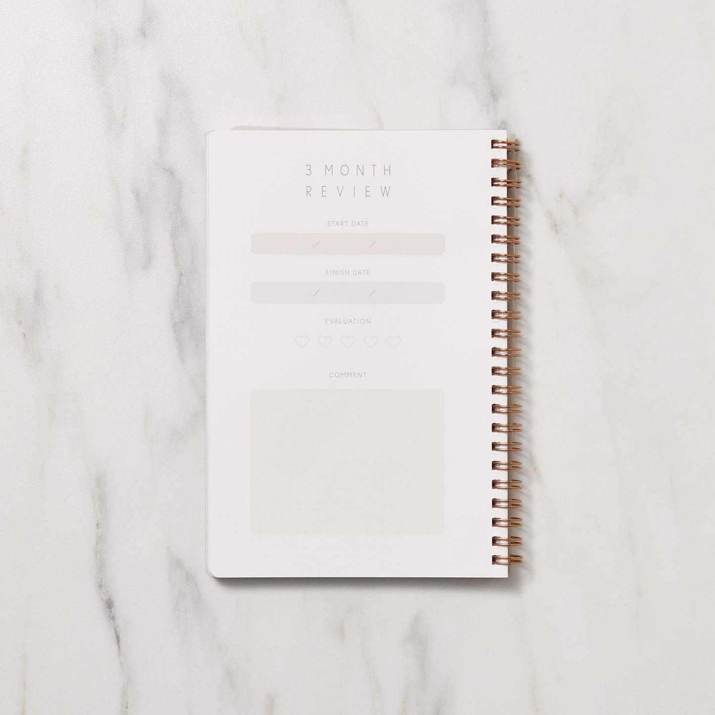 STUDY PLANNER DIARY A5 Ring Type Notebook / Iroha - bungu