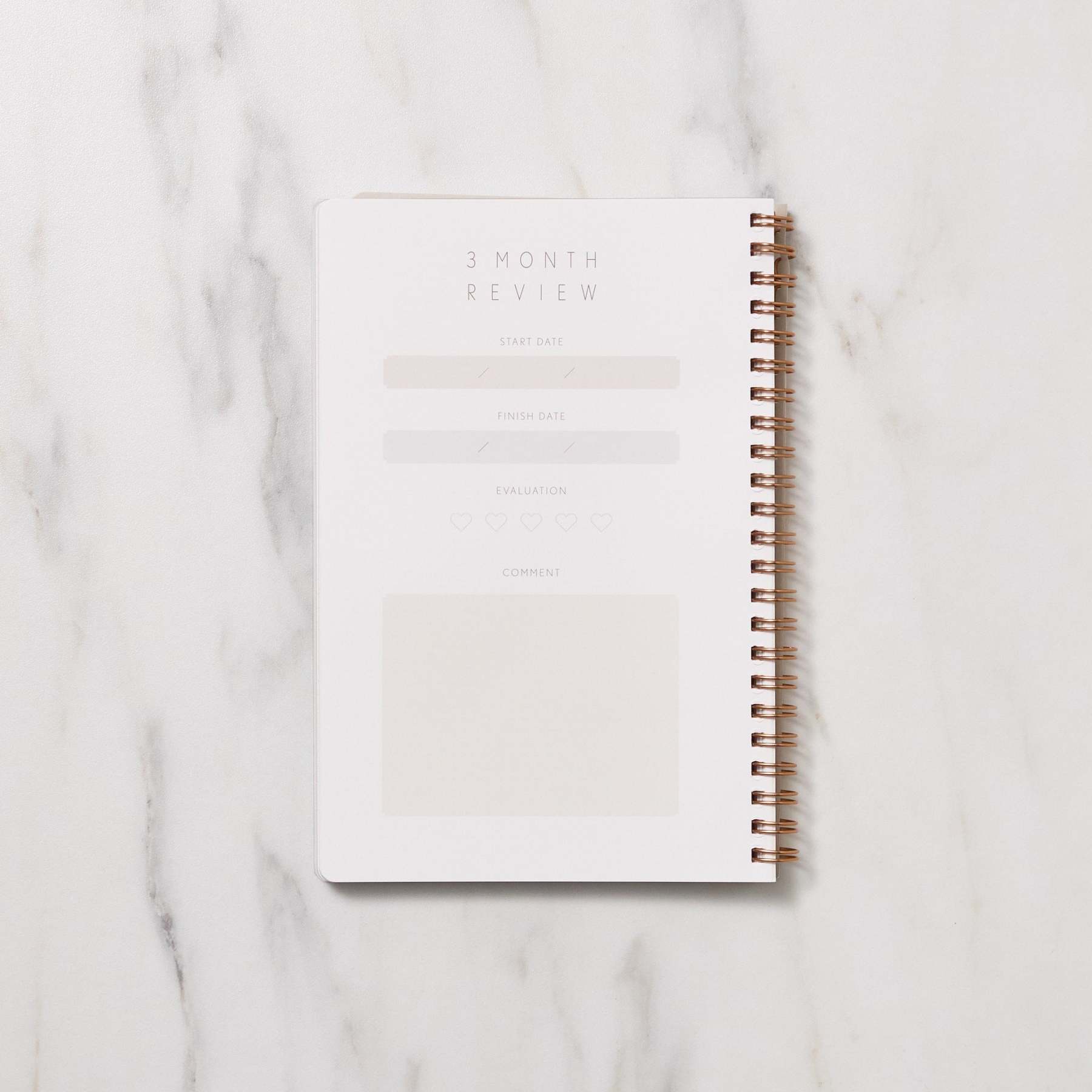 STUDY PLANNER DIARY A5 Ring Type Notebook / Iroha - bungu
