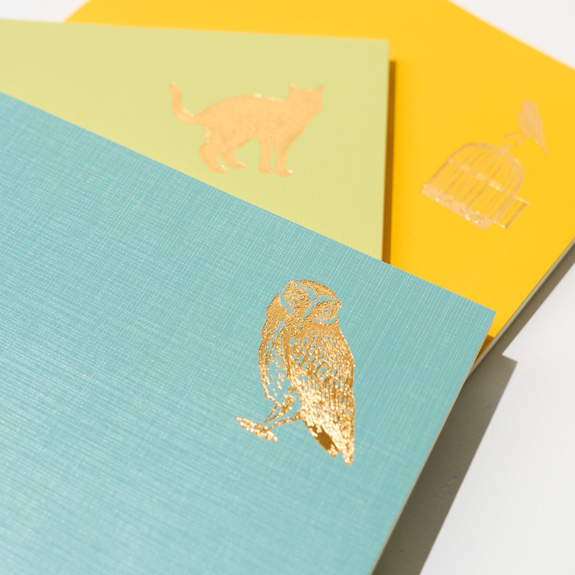 Time Choice Diary / Midori DESIGNPHIL - bungu