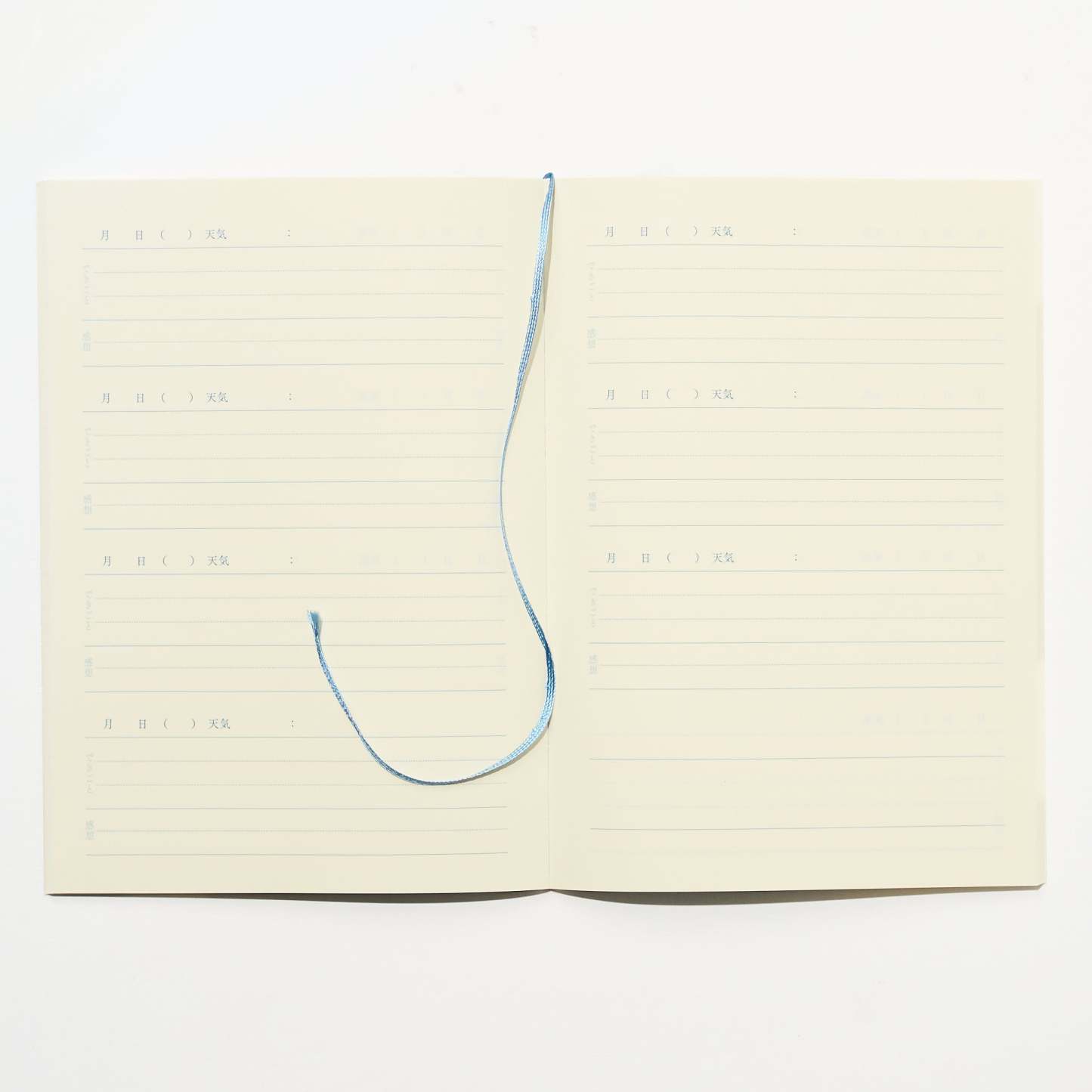 Time Choice Diary / Midori DESIGNPHIL - bungu