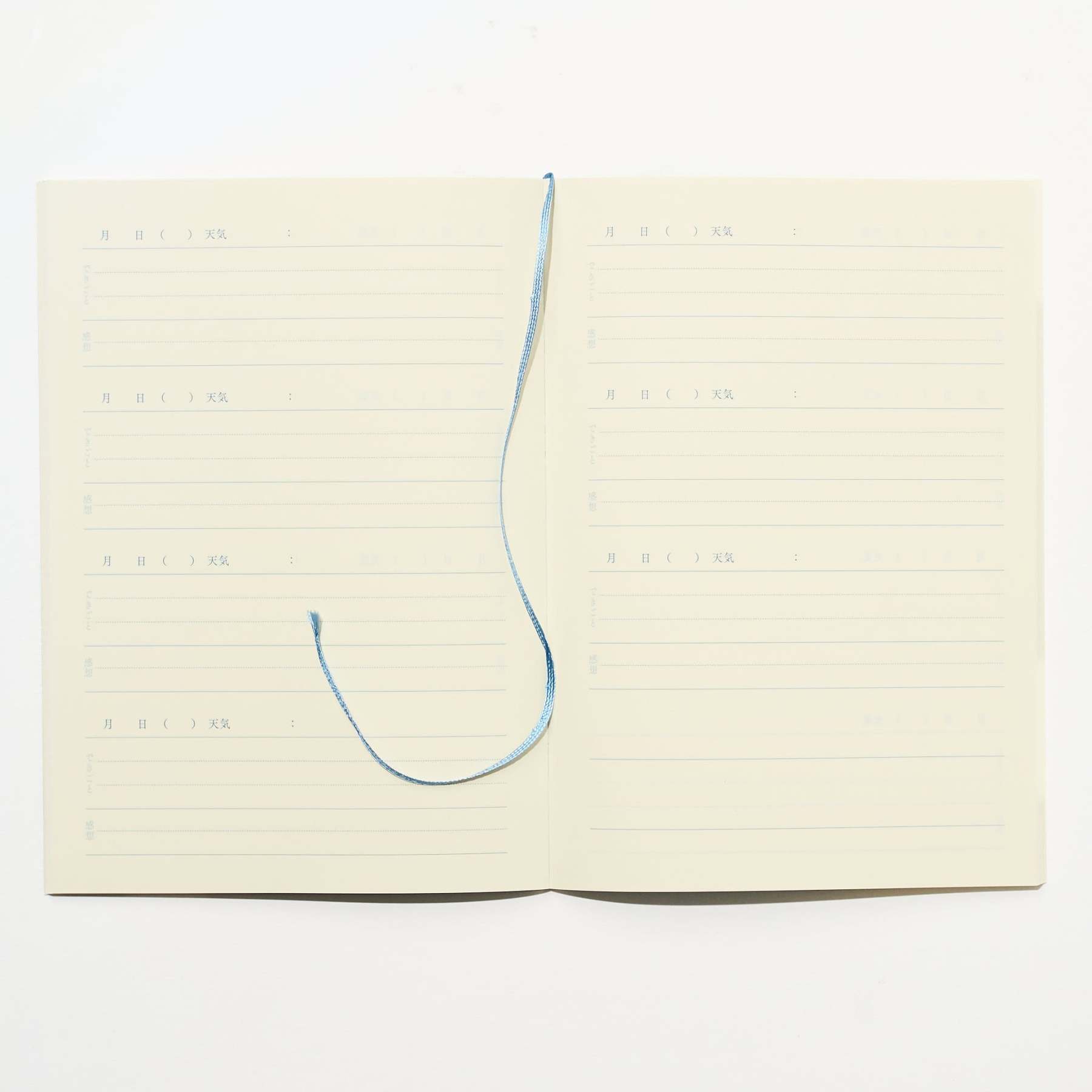 Time Choice Diary / Midori DESIGNPHIL - bungu