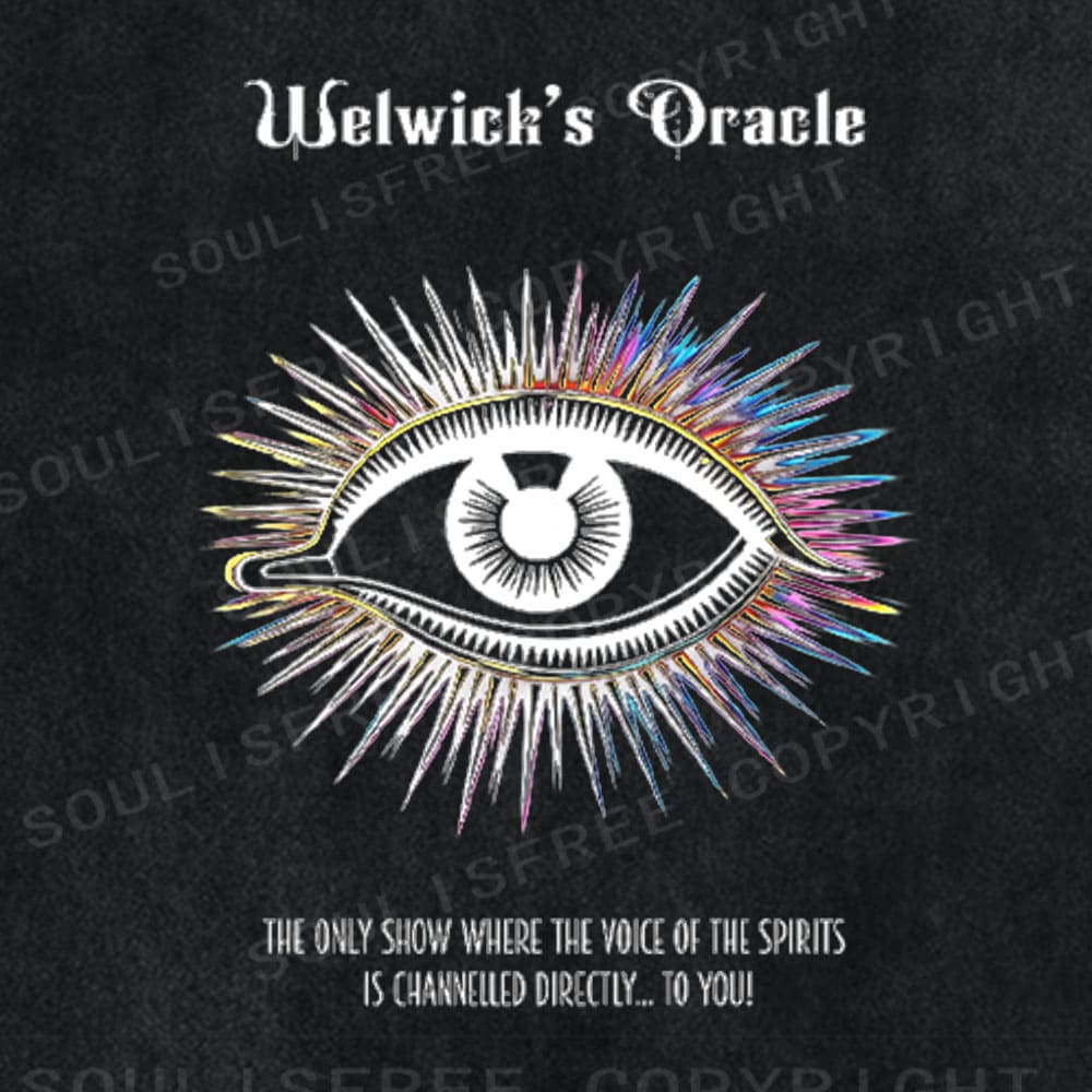 Soulistree The Visionary Show Washed Tee