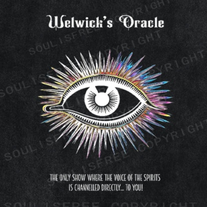 Soulistree The Visionary Show Washed Tee