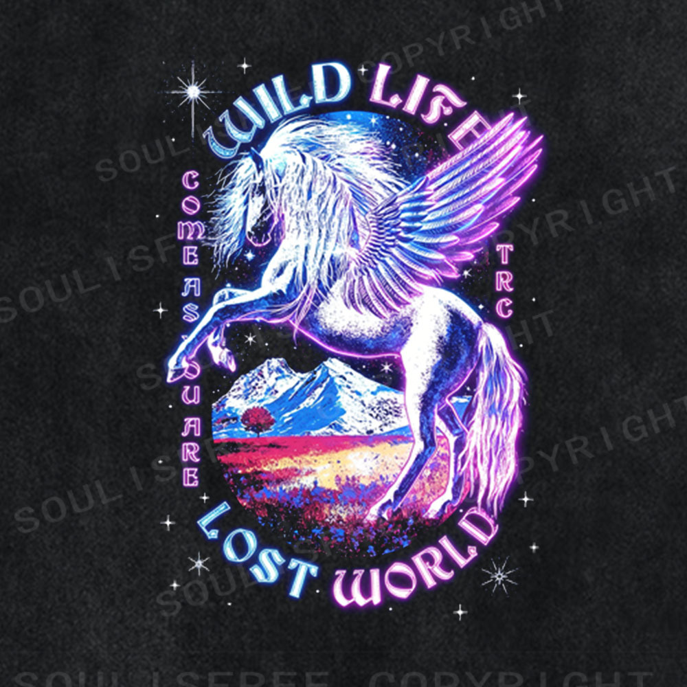 Soulisfree Lost World Aesthetic Washed Tee