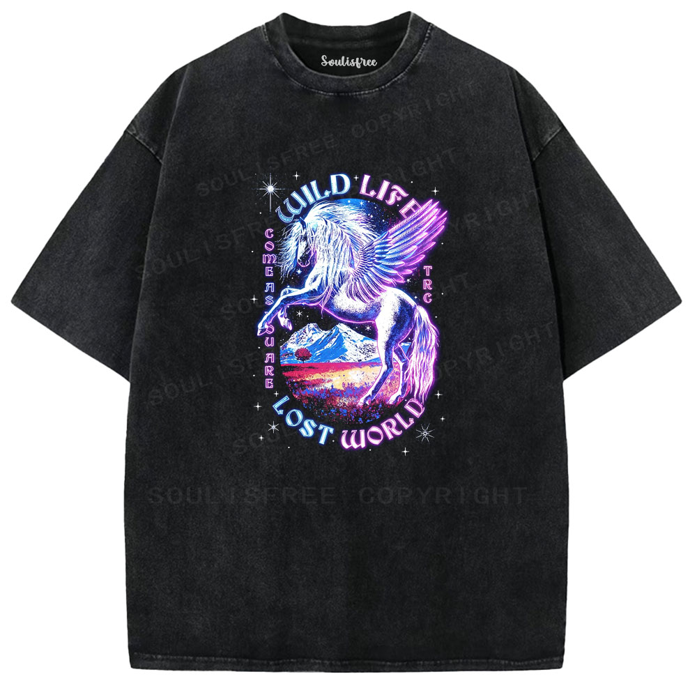 Soulisfree Lost World Aesthetic Washed Tee