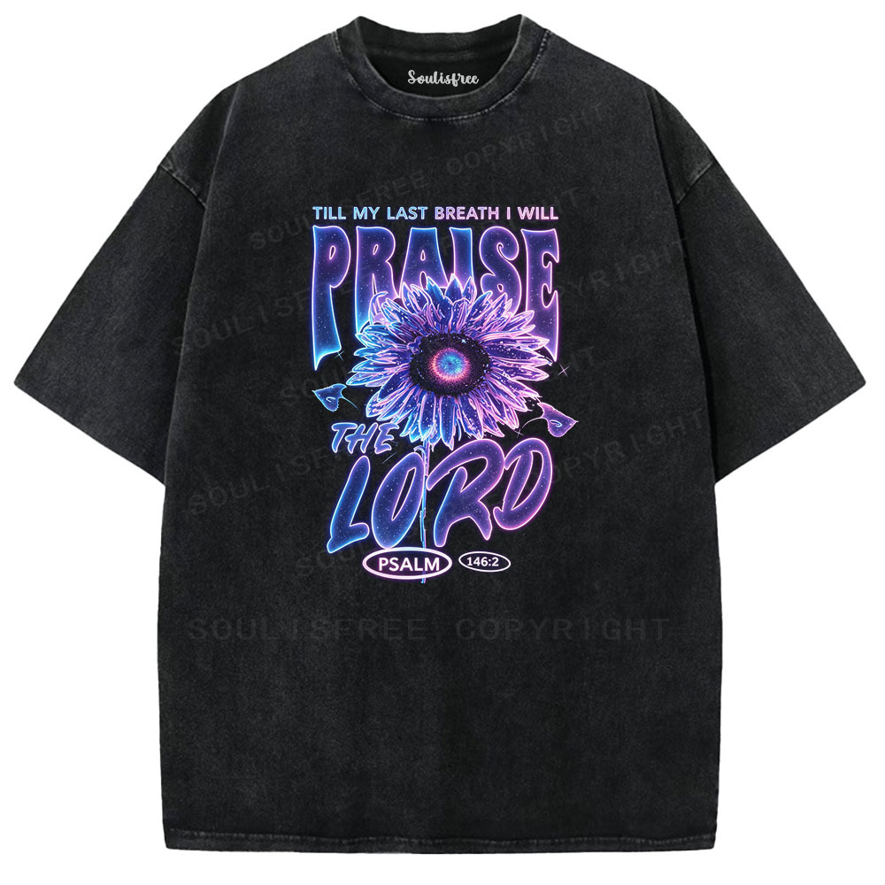 Designed Soulisfree  Washed Tee（水洗T模板） | Soulisfree