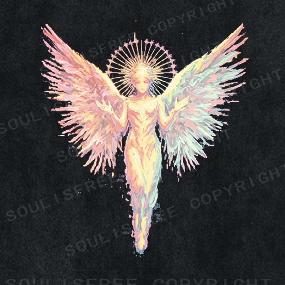 Soulisfree Rainbow Angel Graphic  Washed Tee