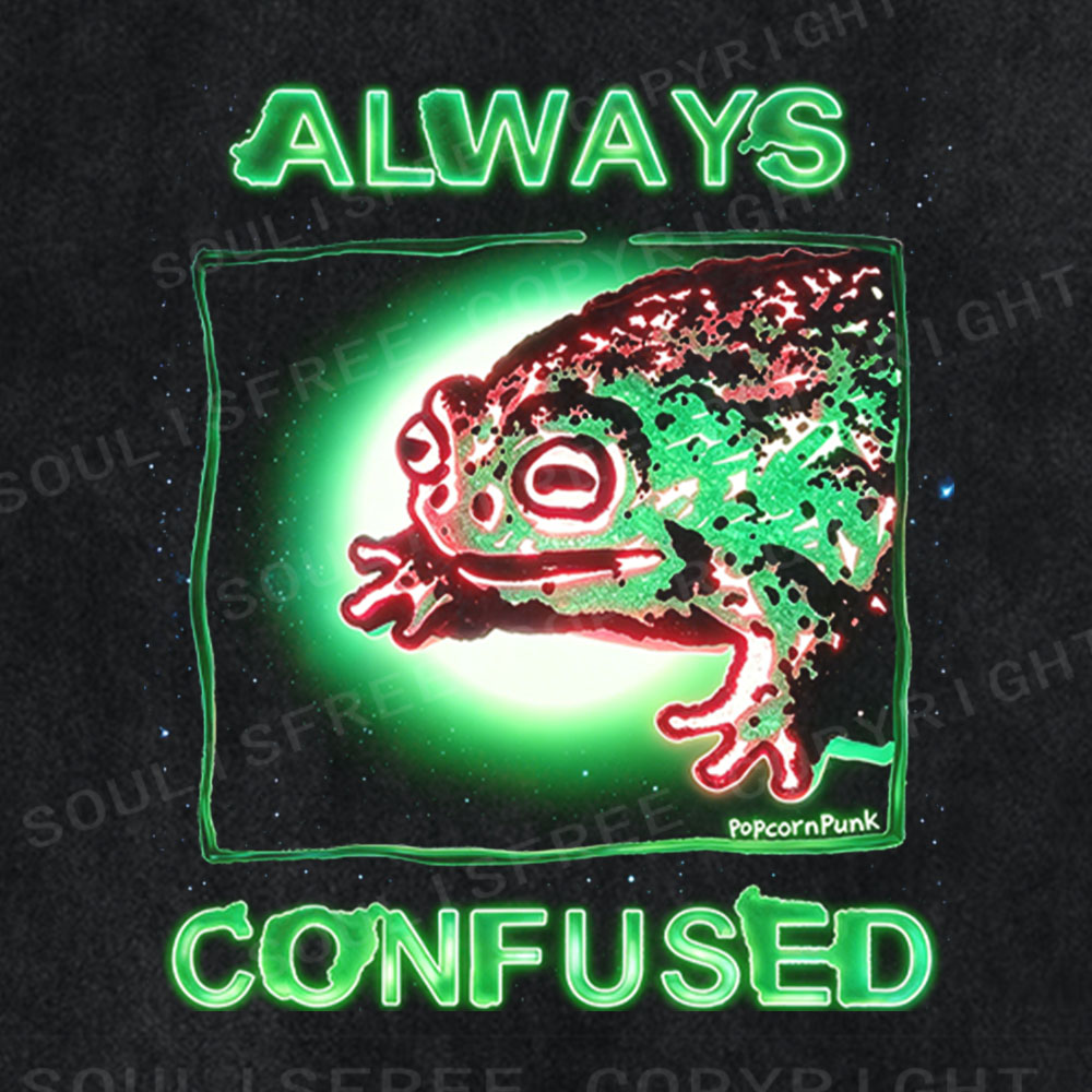 Soulisfree Always Confused Frog Washed Tee