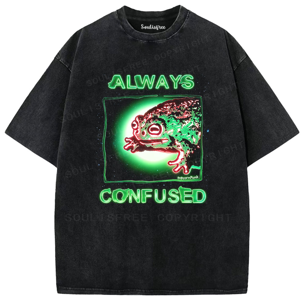 Soulisfree Always Confused Frog Washed Tee