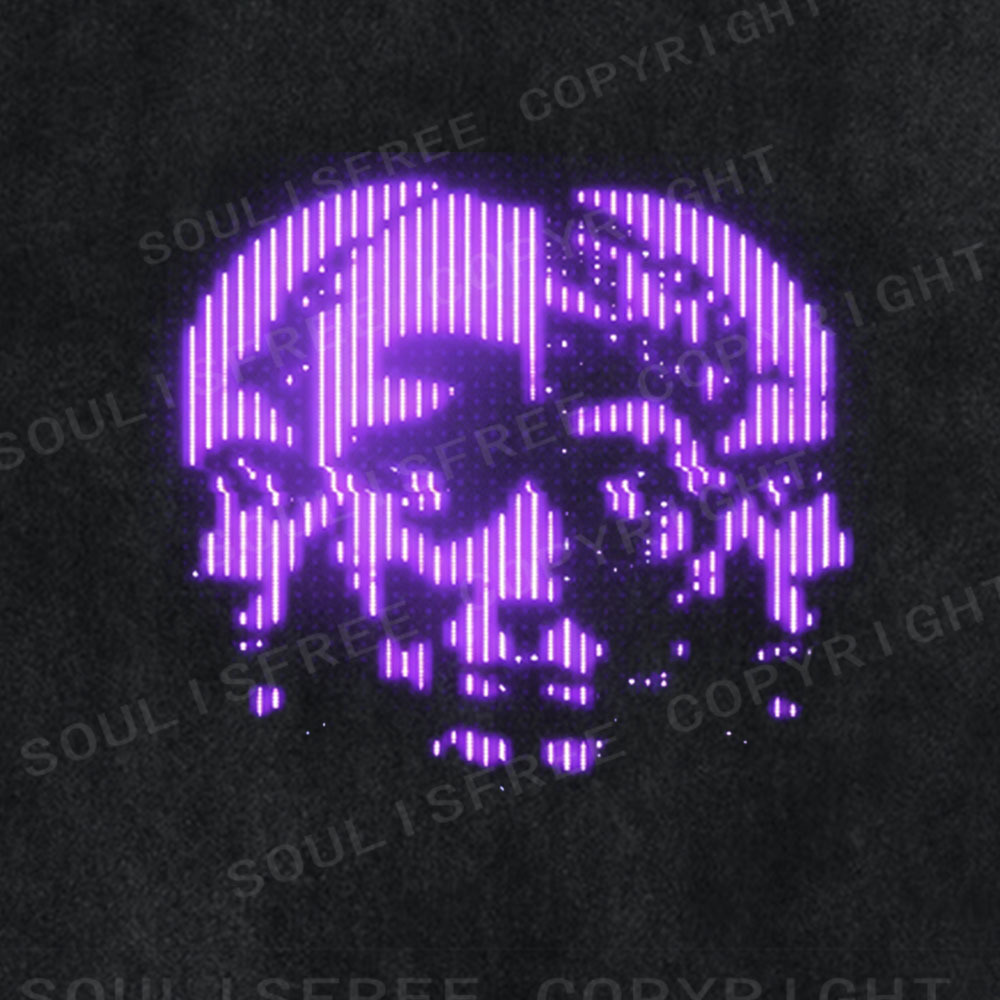 Soulisfree Digital Decay Washed Tee