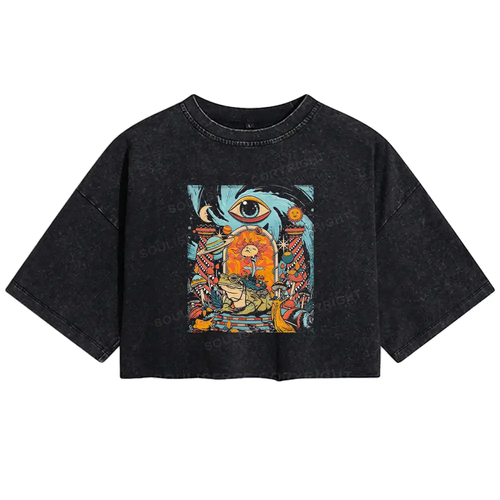 Equilibrium Washed Crop T-shirt