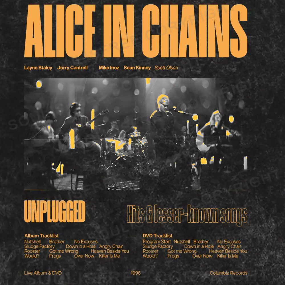Alice In Chains Washed T-shirt