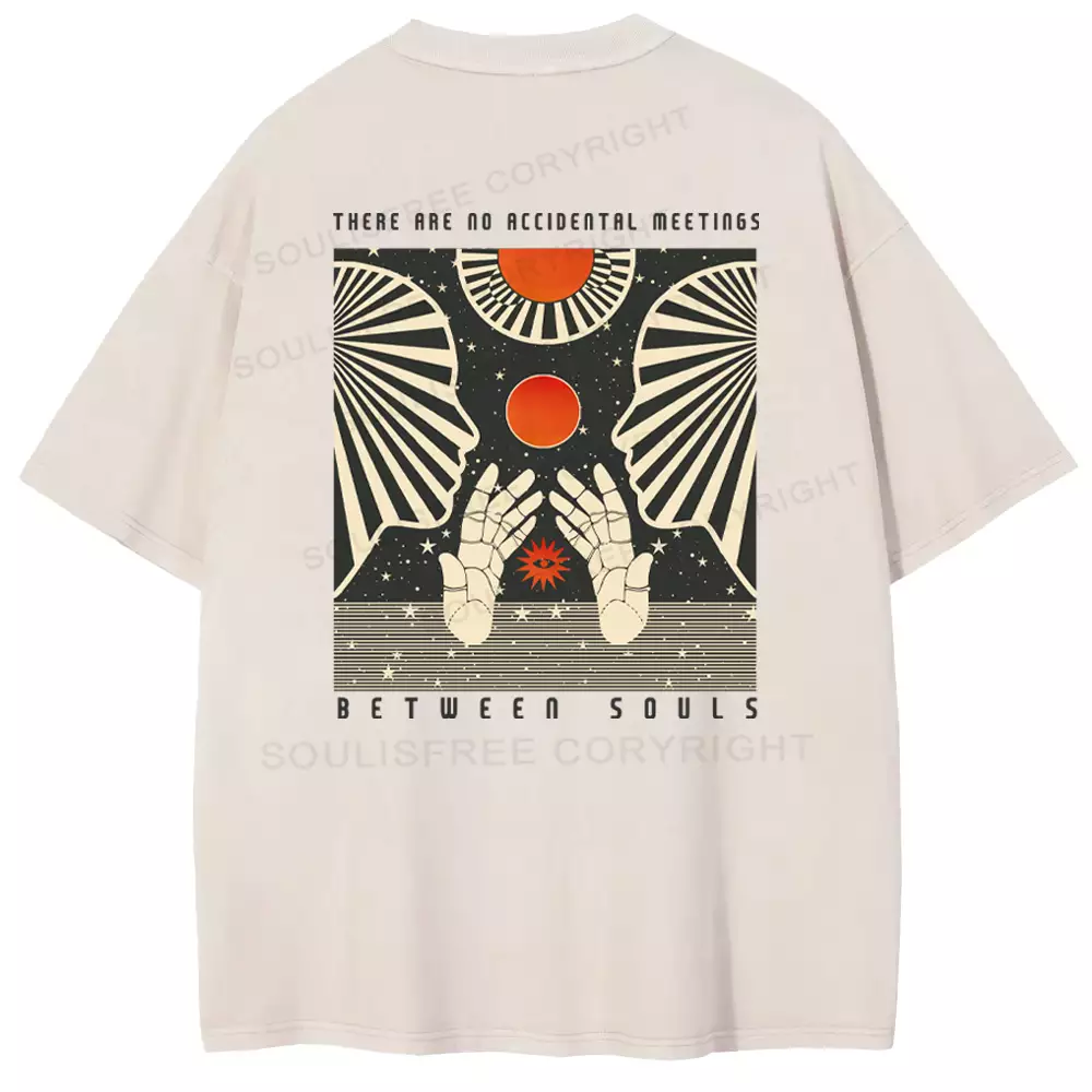 THERE ARE NO ACCIDENTAL MEETINGS BETWEEN SOULS Washed T-shirt