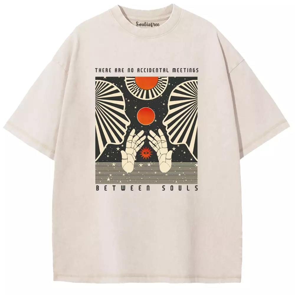 THERE ARE NO ACCIDENTAL MEETINGS BETWEEN SOULS Washed T-shirt