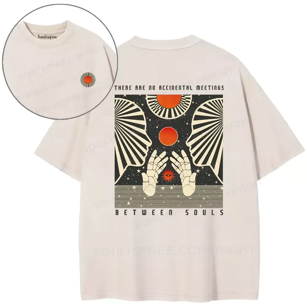THERE ARE NO ACCIDENTAL MEETINGS BETWEEN SOULS Washed T-shirt