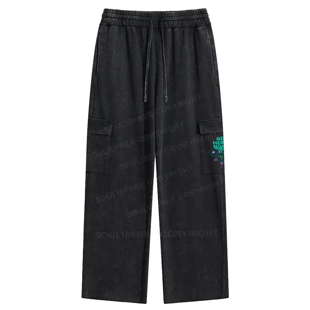 Here Now Washed Cargo pants