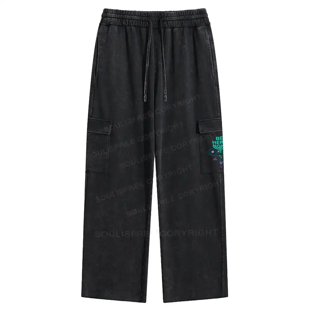 Here Now Washed Cargo pants