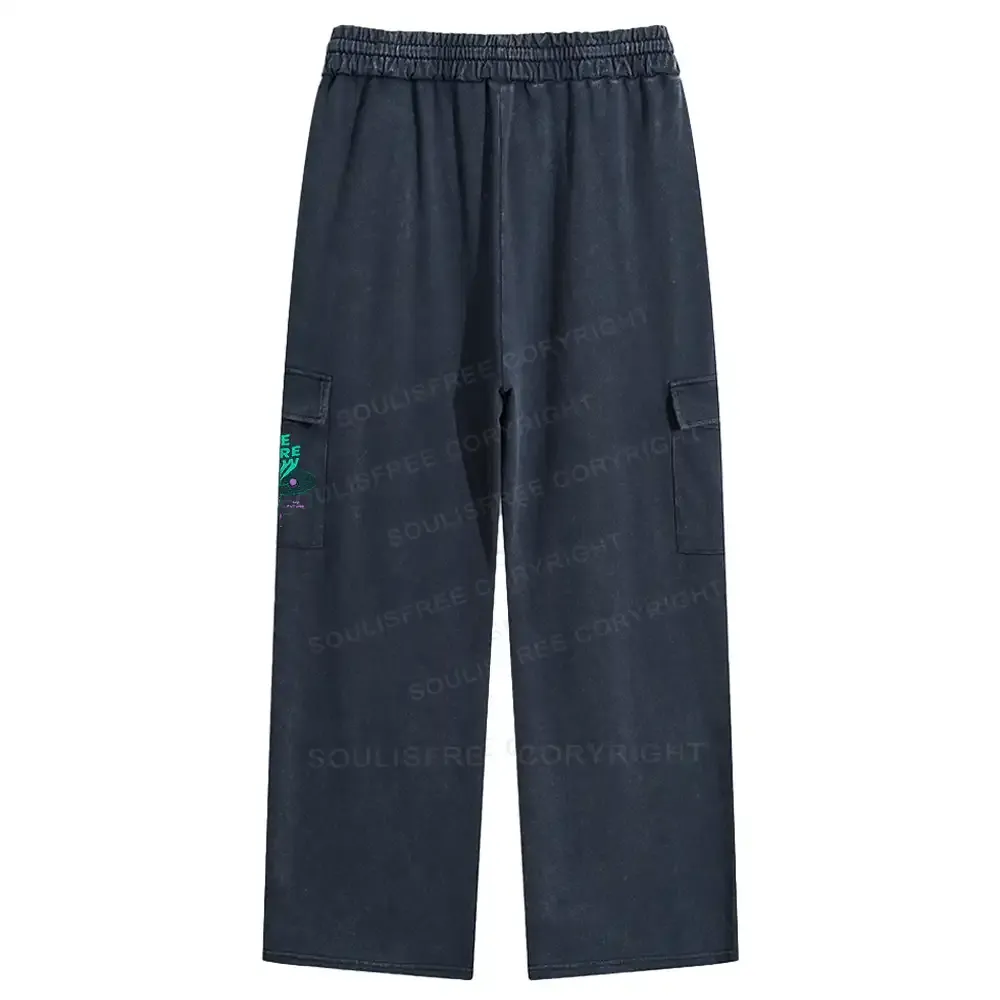 Here Now Washed Cargo pants