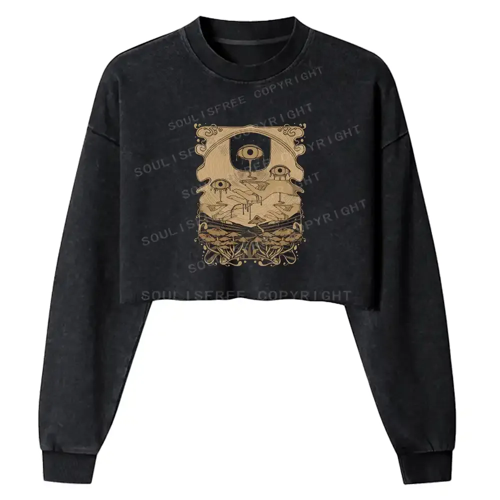 Dripping Eye Mushroom Washed Cropped Sweatshirt