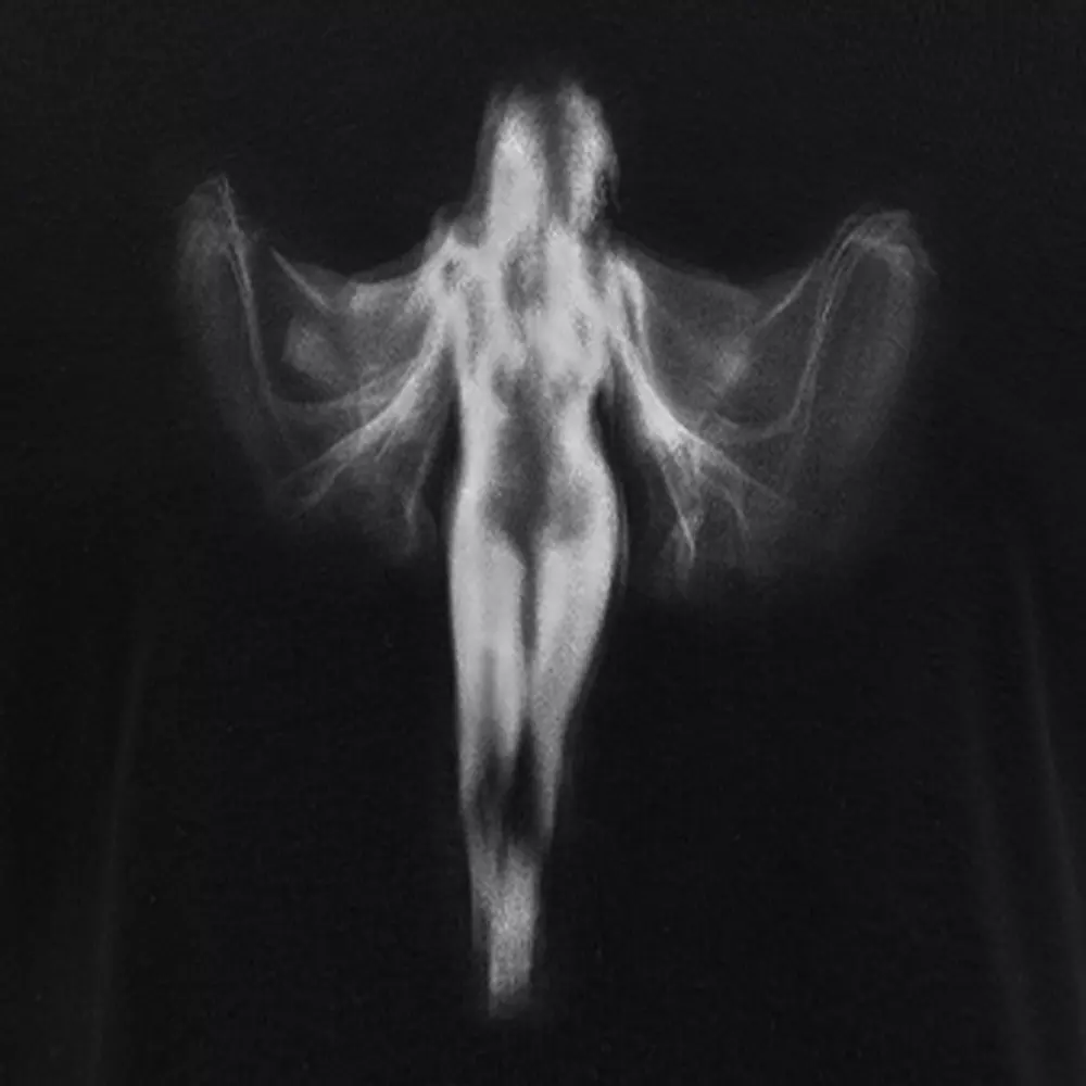 Shadow Series : Woman Ⅸ Block Raglan Long Sleeve Crop Top