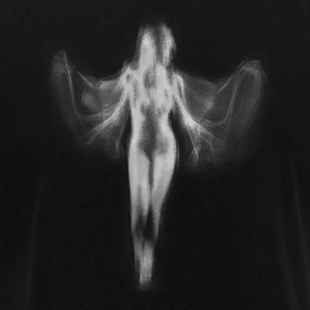 Shadow Series : Woman Ⅸ Block Raglan Long Sleeve Crop Top