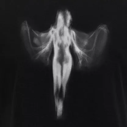 Shadow Series : Woman Ⅸ Block Raglan Long Sleeve Crop Top