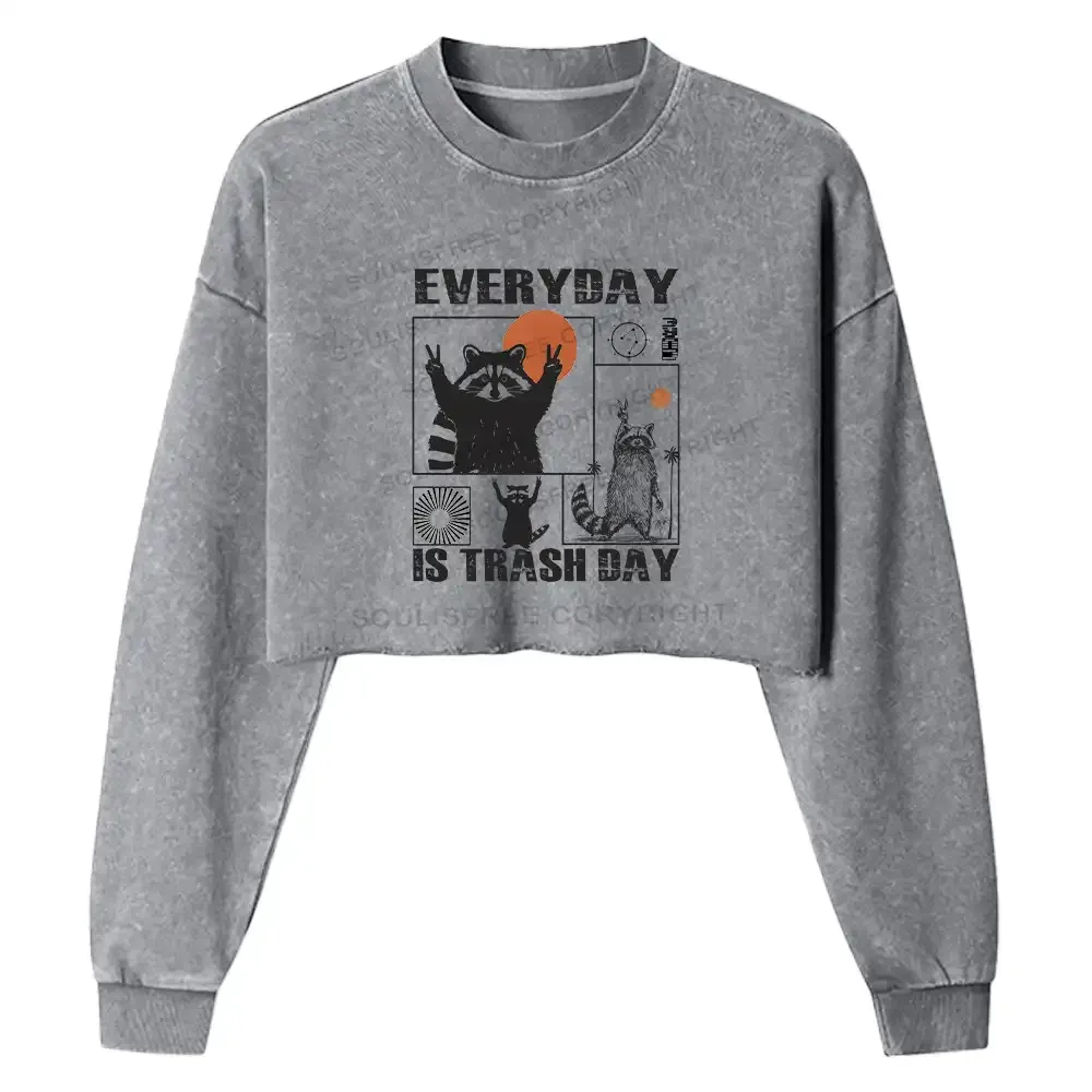 Everyday Is Trash Day Washed Cropped Sweatshirt
