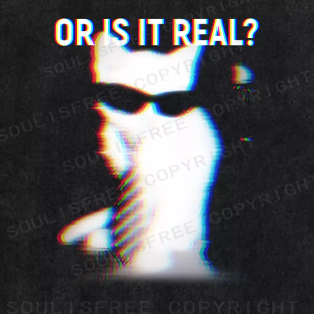 Soulisfree  OR IS IT REAL? Washed Tee