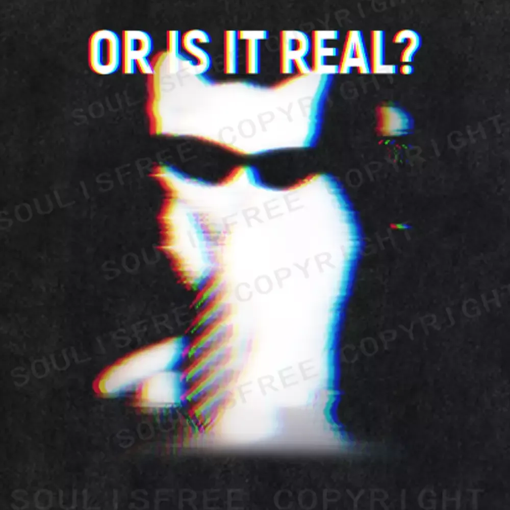 Soulisfree  OR IS IT REAL? Washed Tee