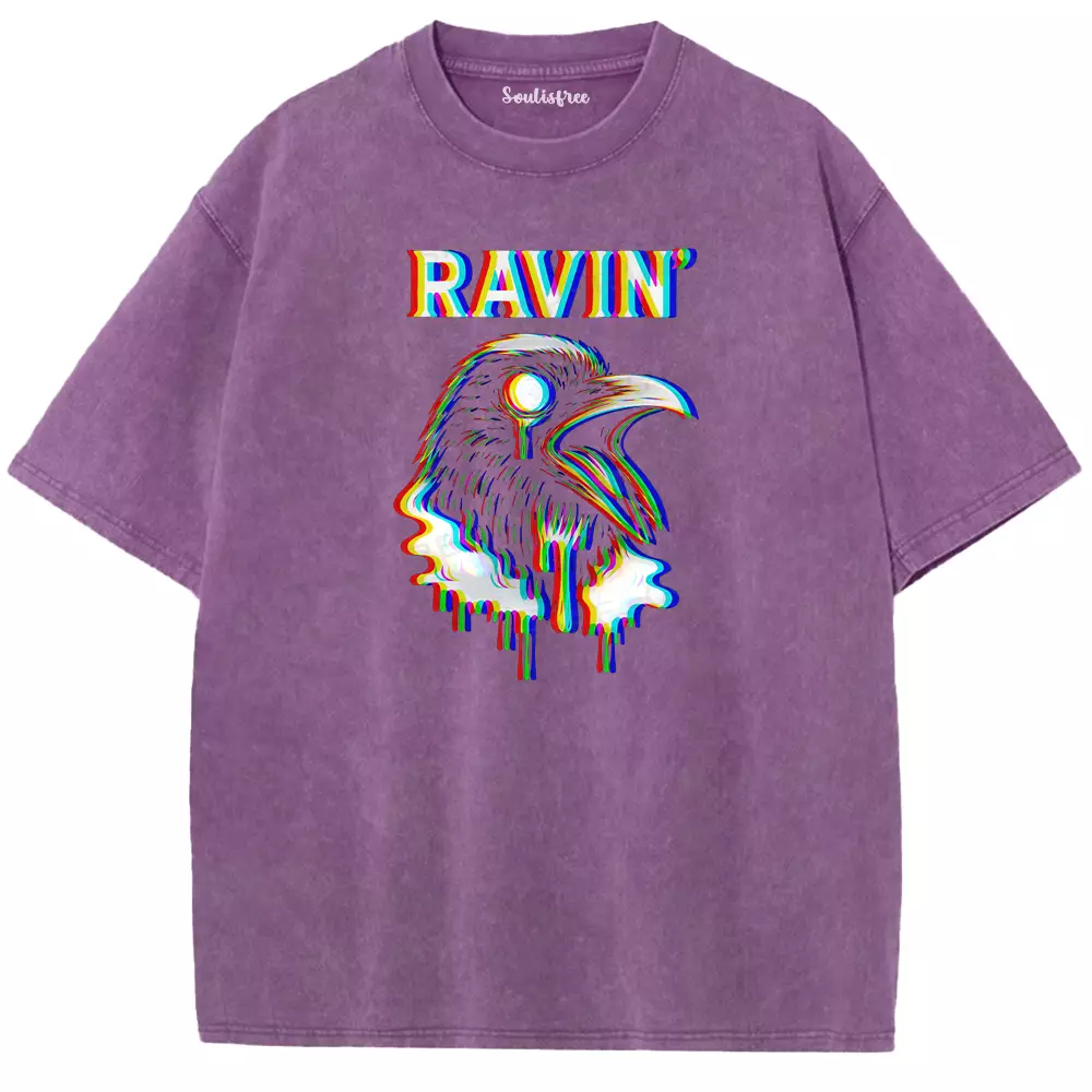 Soulisfree  GLITCH RAVEN Washed Tee