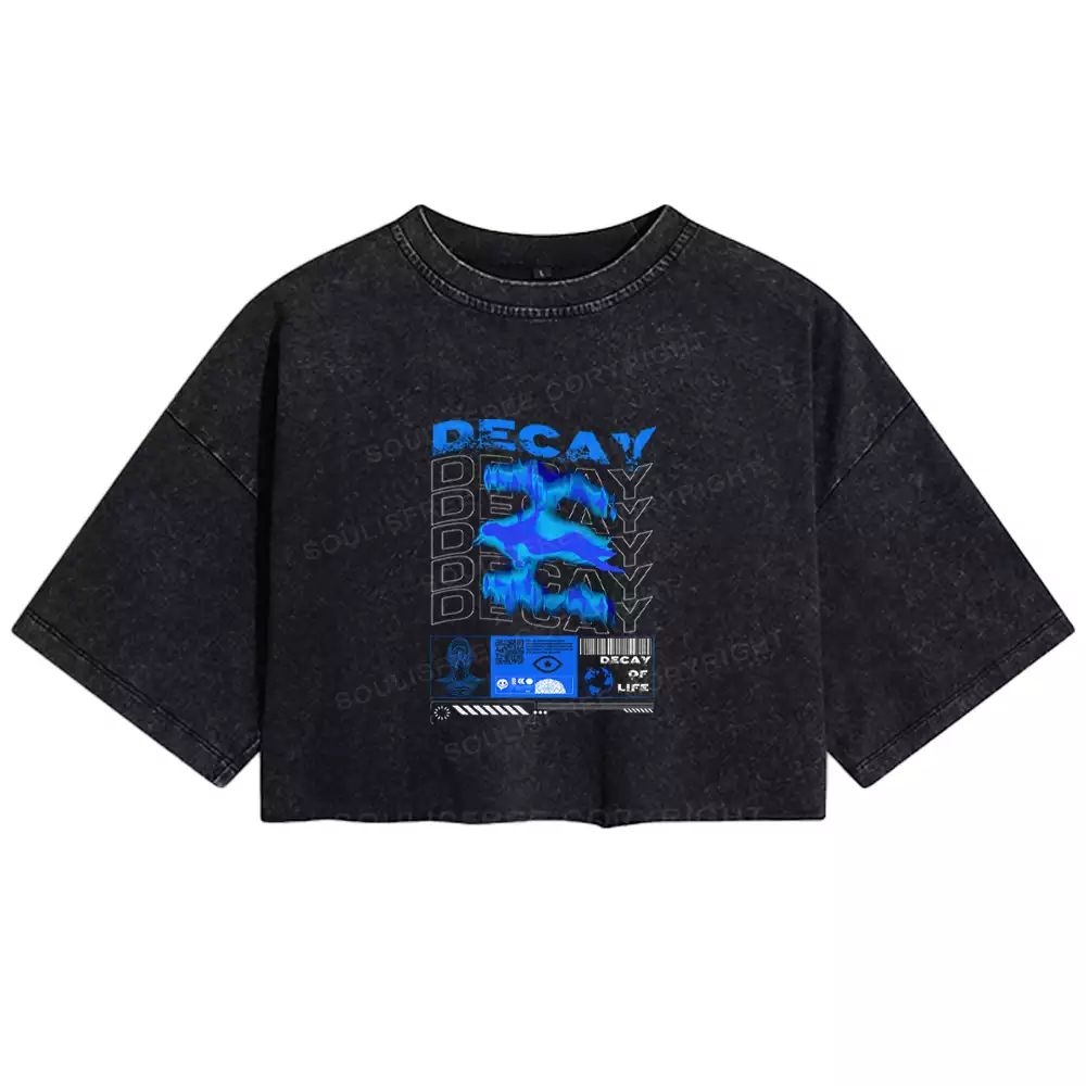 DECAY Washed Crop T-shirt