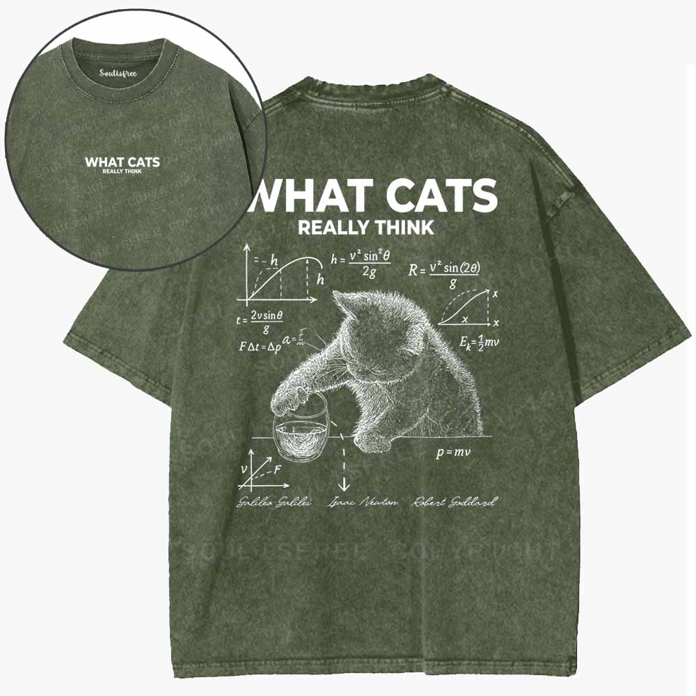 Soulisfree  The Secret Mind Of Cats Washed Tee