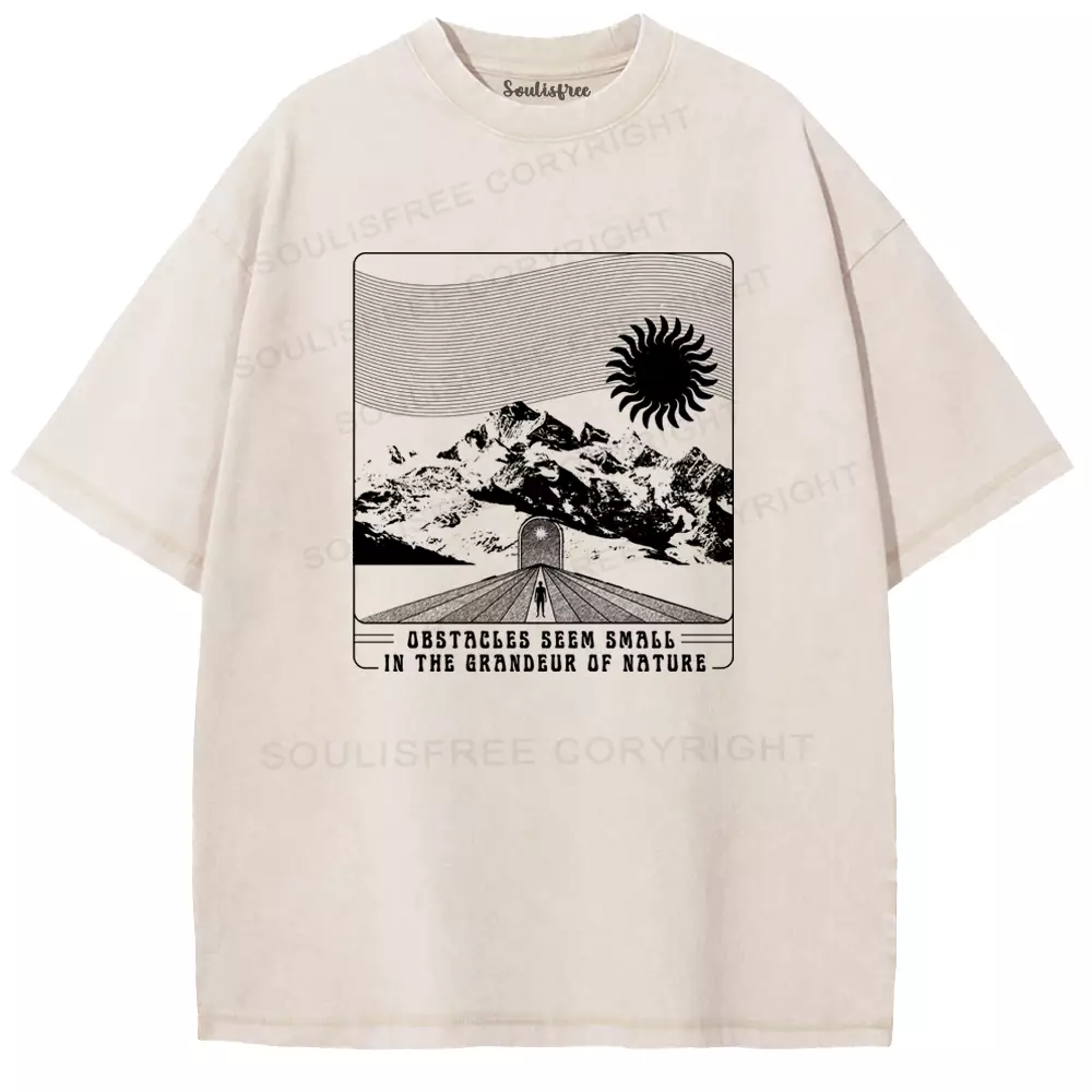 Dbstacles Seem Small In The Graneur Of NatureWashed T-shirt