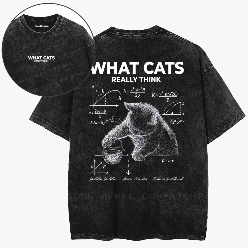 Soulisfree  The Secret Mind Of Cats Washed Tee