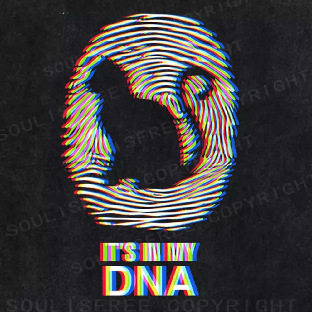 Soulisfree  IT'S IN MY DNA Washed Tee