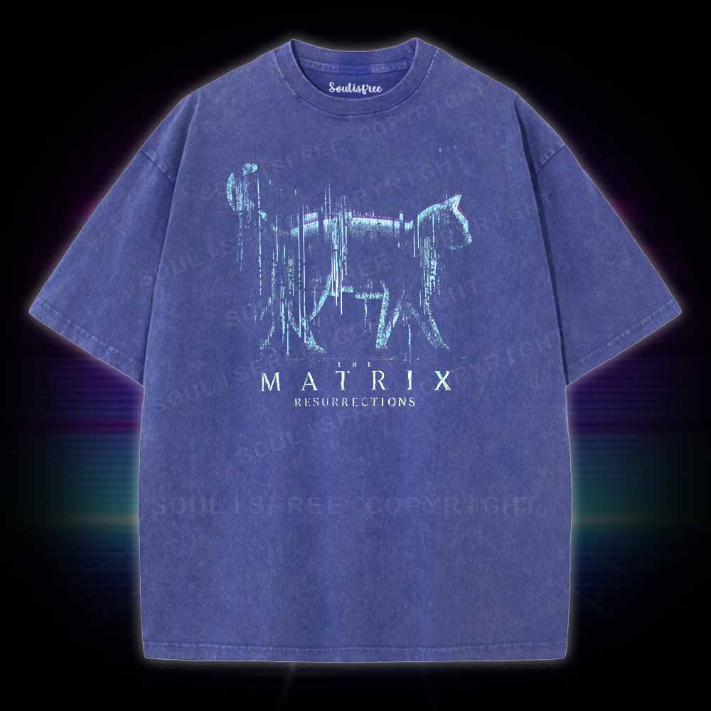 Soulisfree Digital Cat Washed Tee