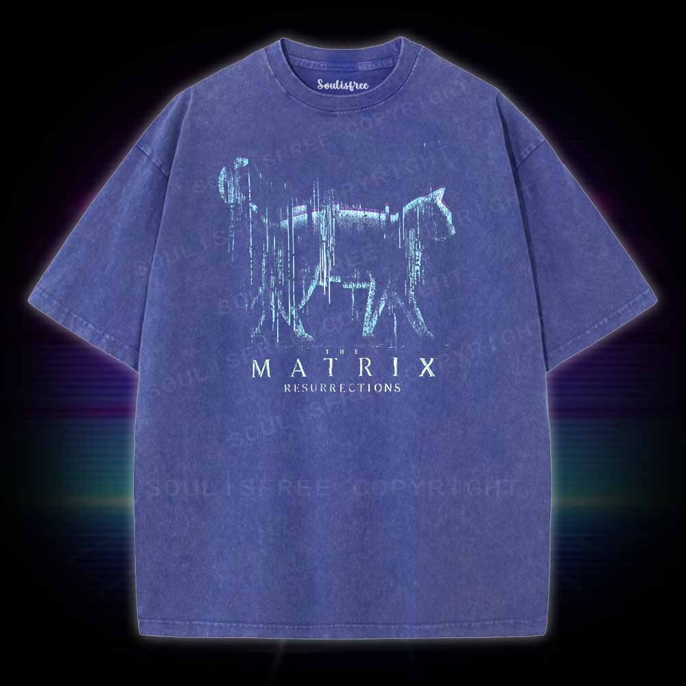 Soulisfree Digital Cat Washed Tee