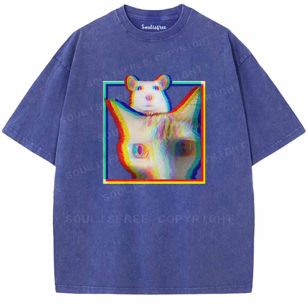 Soulisfree  Glitchy Roommates  Washed Tee