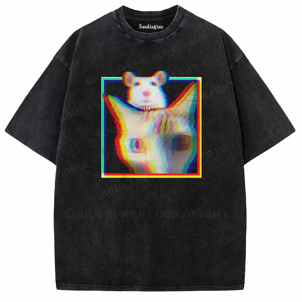 Soulisfree  Glitchy Roommates  Washed Tee