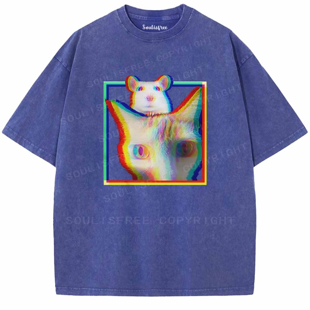 Soulisfree  Glitchy Roommates  Washed Tee