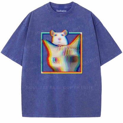Soulisfree  Glitchy Roommates  Washed Tee