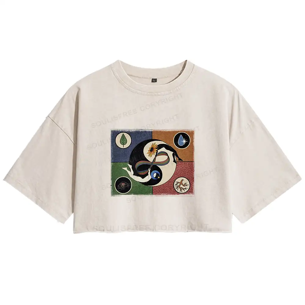 Day Or Night Washed Crop T-shirt