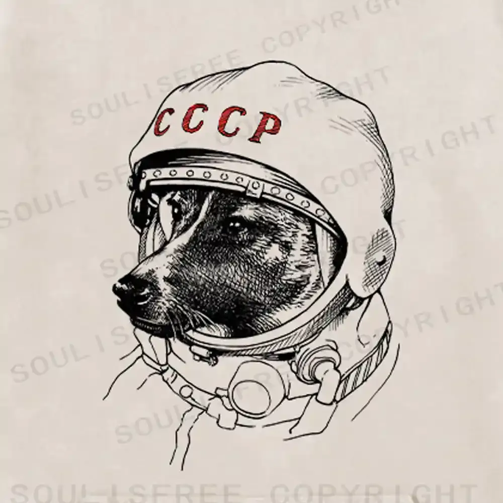 Astro Dog Washed Hoodie